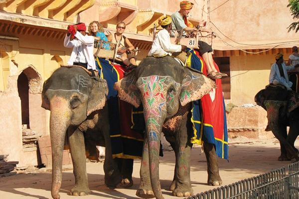 Hotel Nangis Pride Jaipur Exteriör bild